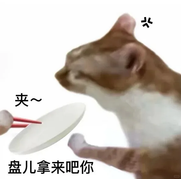 你好我夹一点猫猫表情包