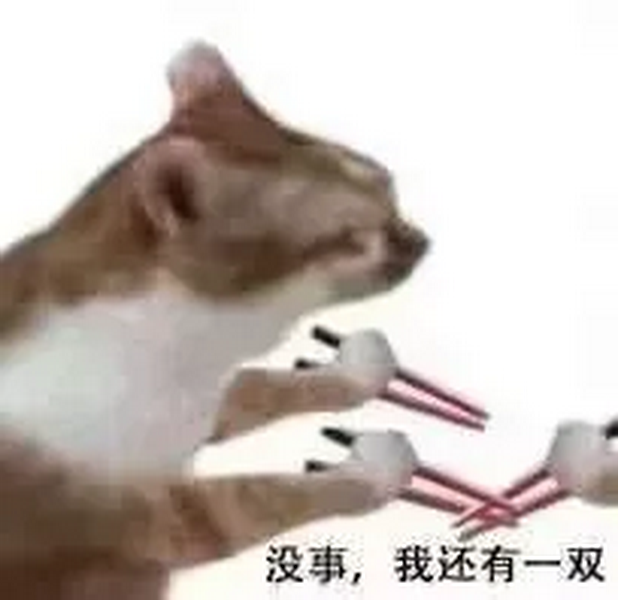 没事我还有一双猫猫表情包
