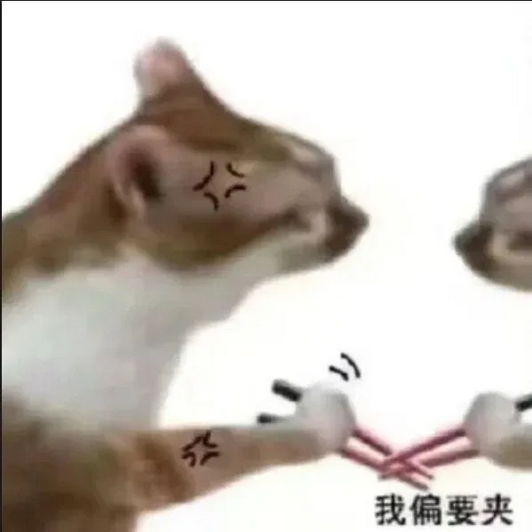 我偏要夹猫猫表情包