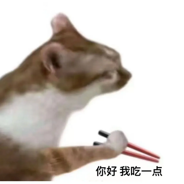 你好我吃一点猫猫表情包