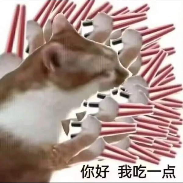 你好我吃一点猫猫表情包