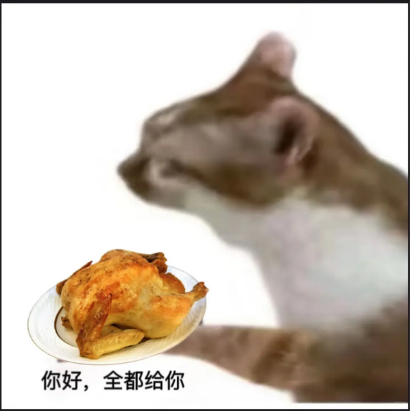 你好全部给你猫猫表情包